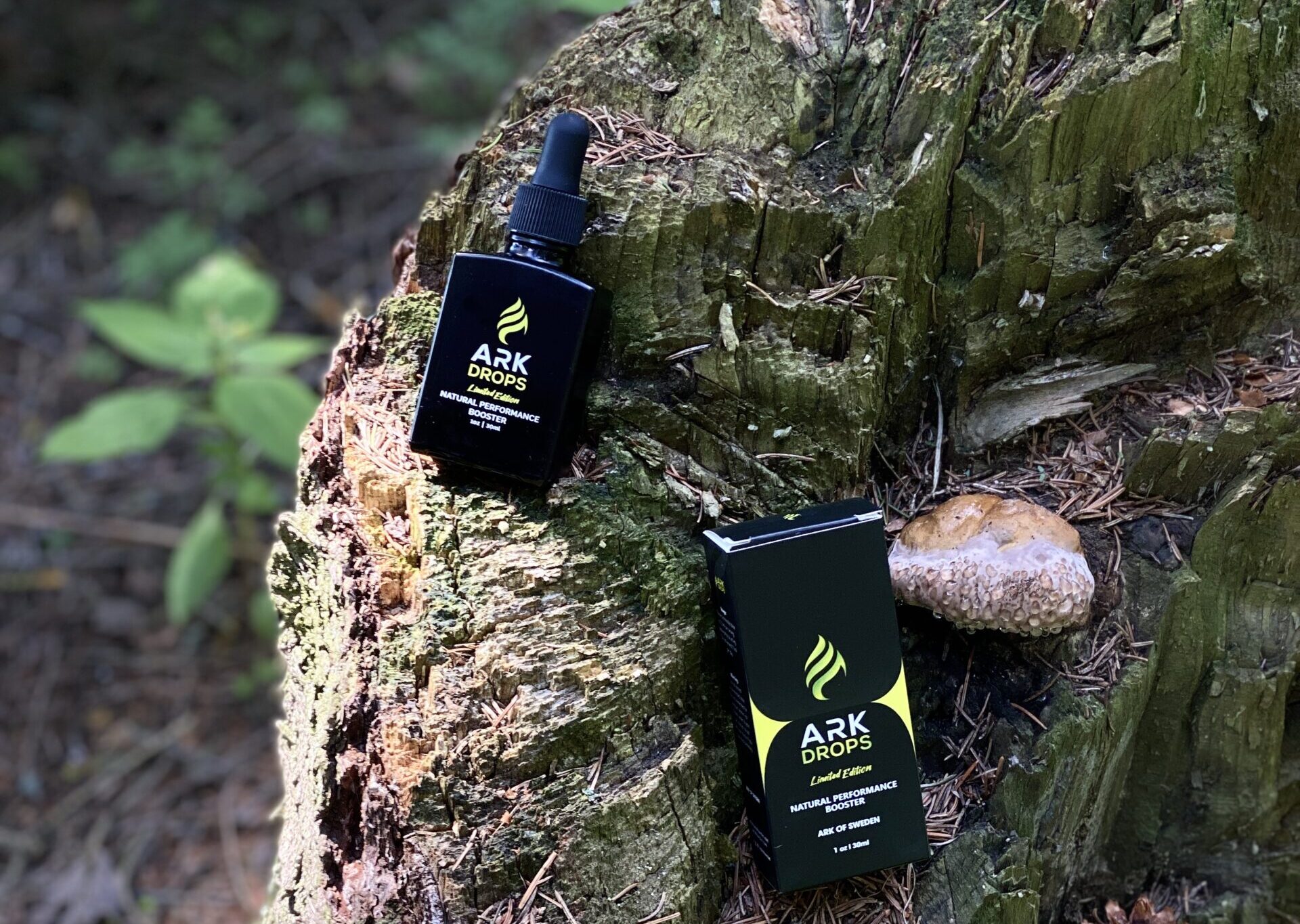 c29f7a02 7b0c 491d b62a a9ee371f87ab scaled e1733771375996